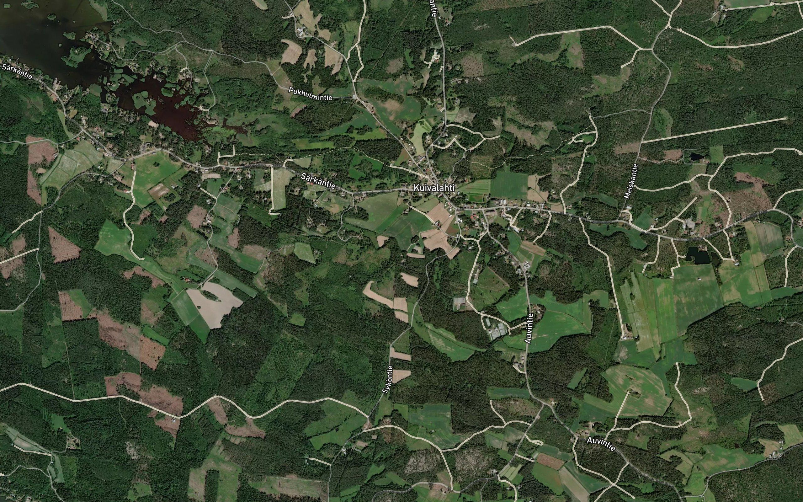 Perinoja