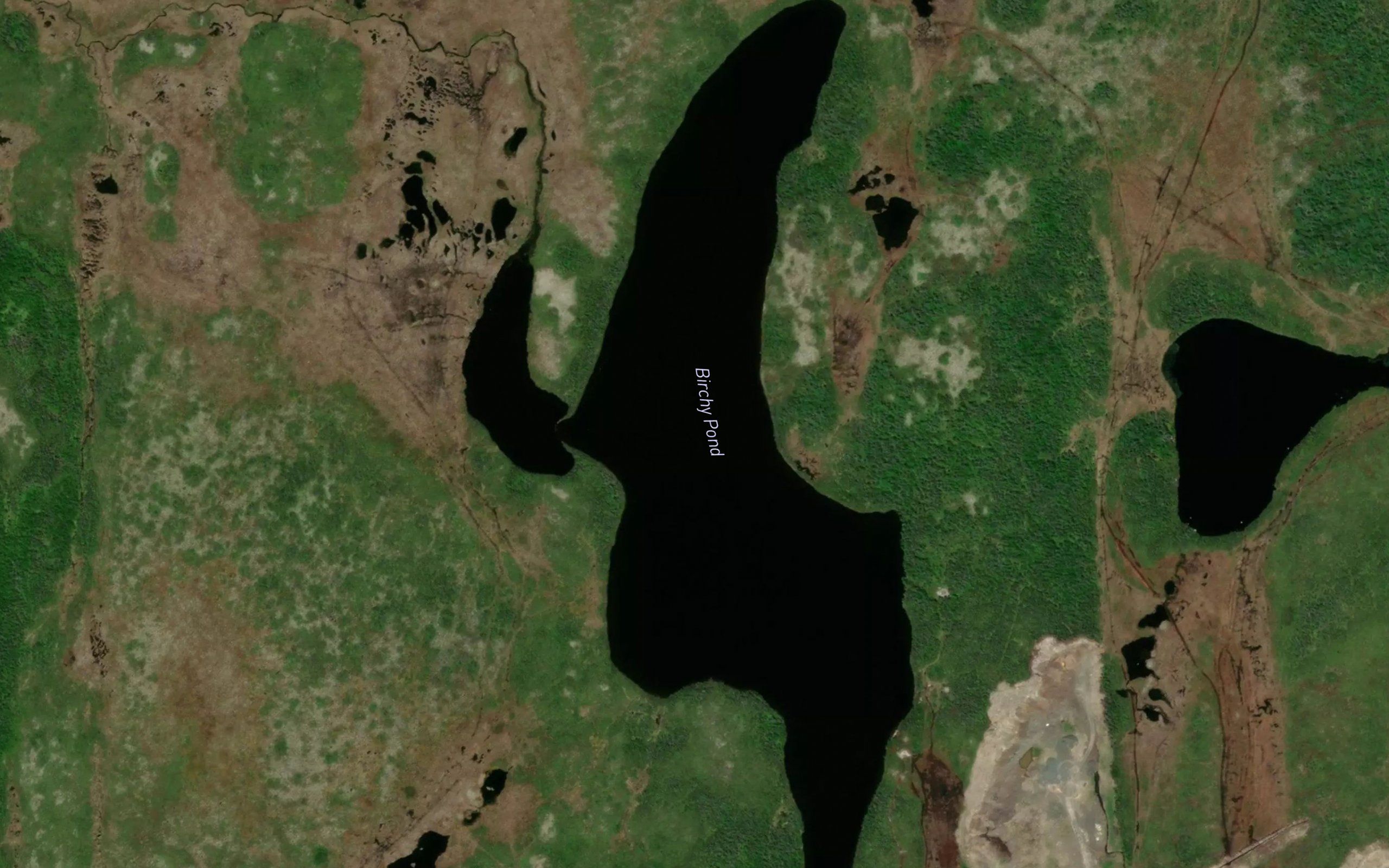 Birchy Pond