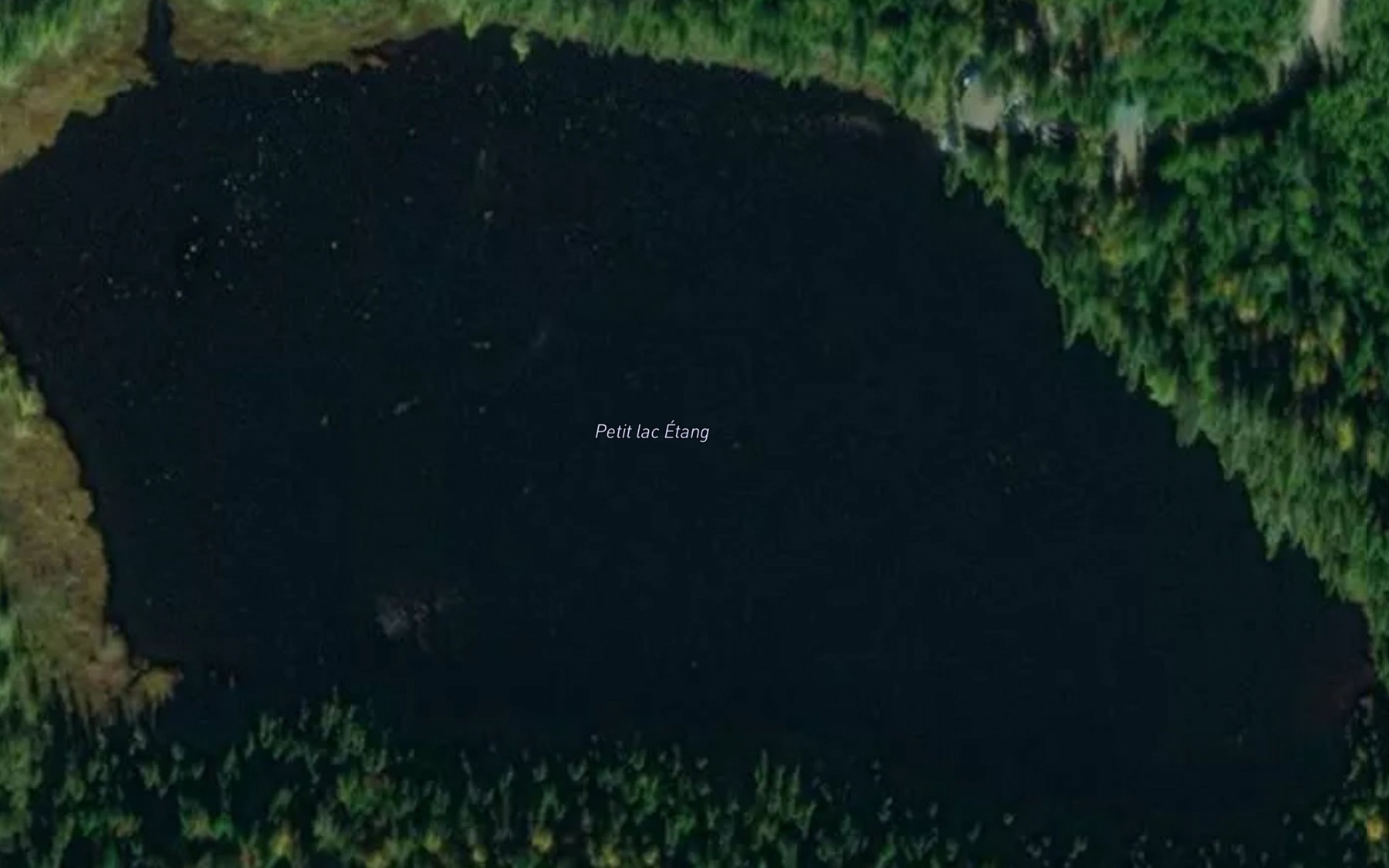 Satellite map of the Petit lac Etang