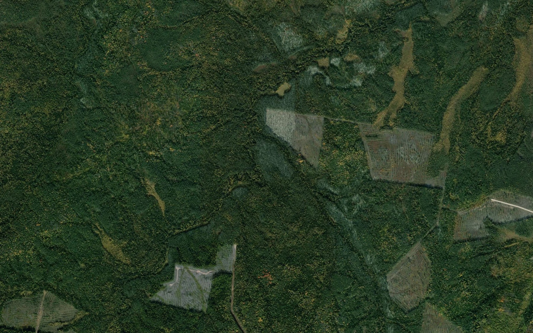 Satellite map of the Sordvozh