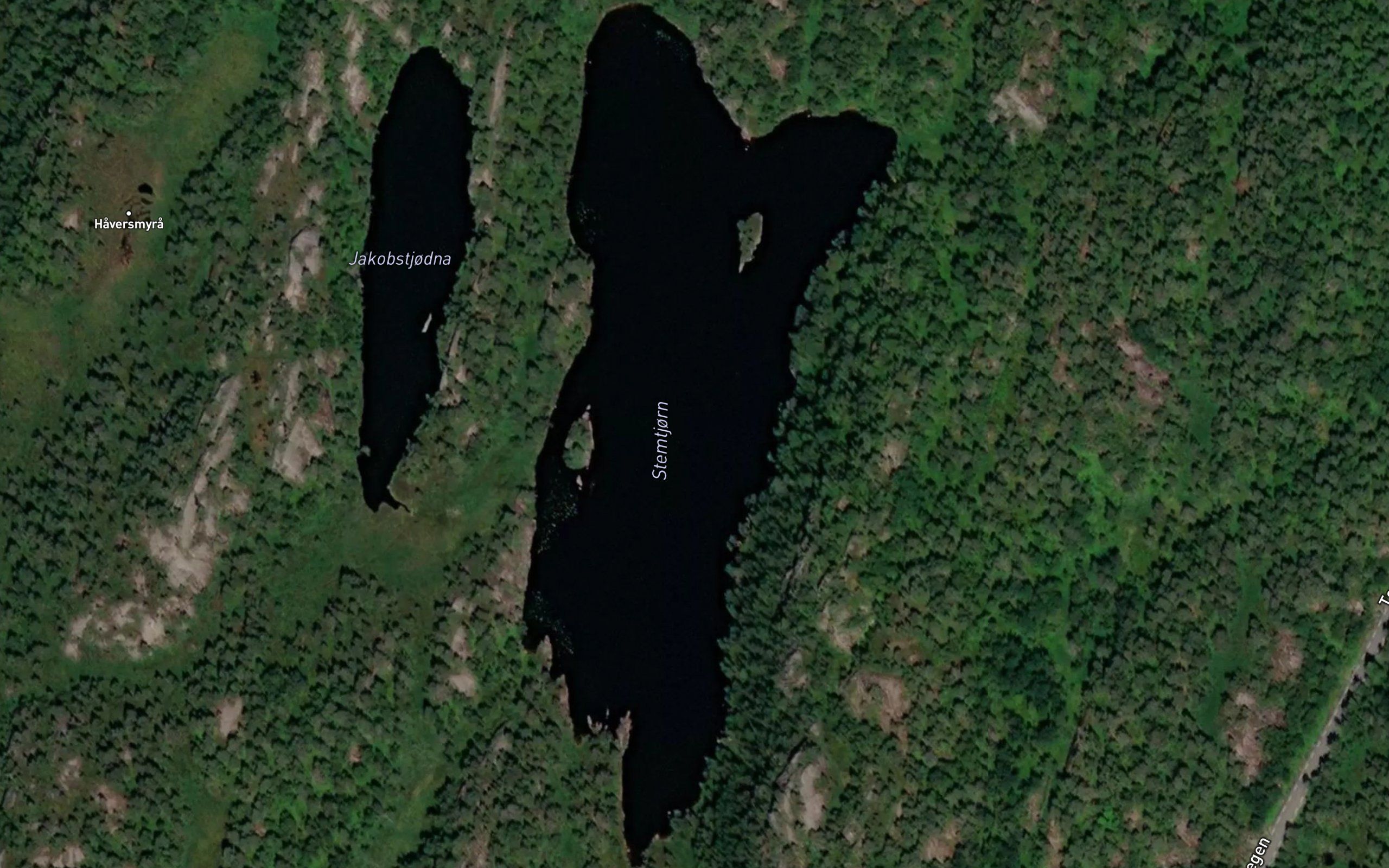 Stemtjorn