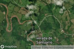 Brazo Tanela