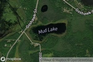 Mud Lake
