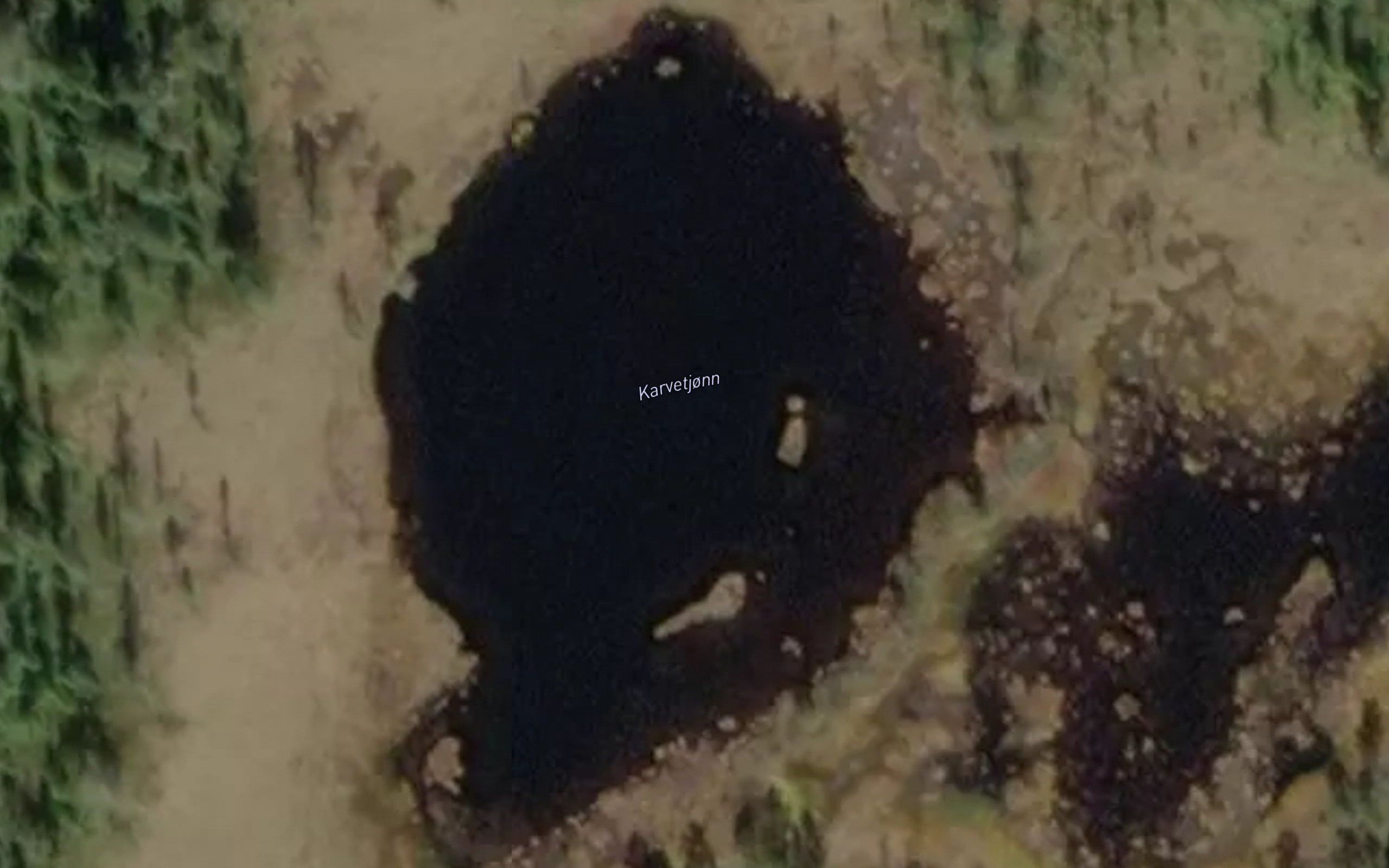 Karvetjorni