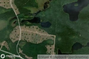 Lac Haseman