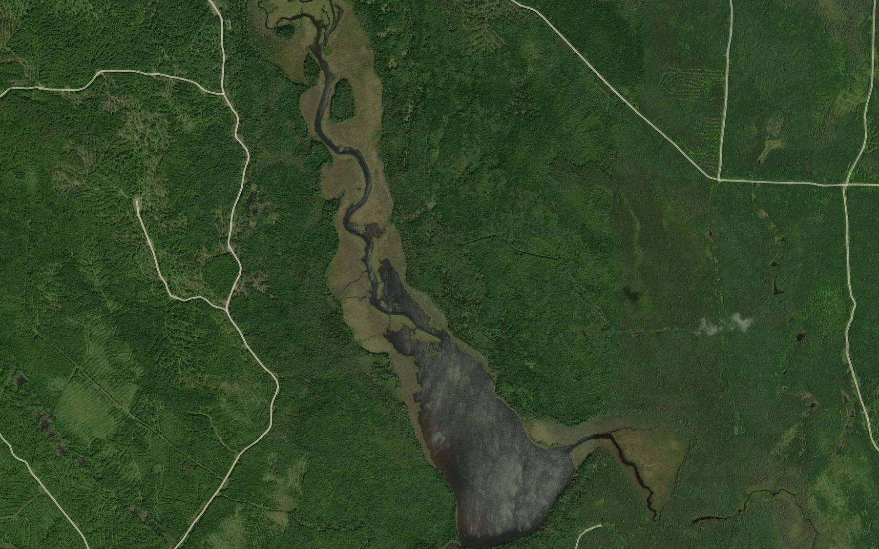 Satellite map of the Cassidy Deadwater