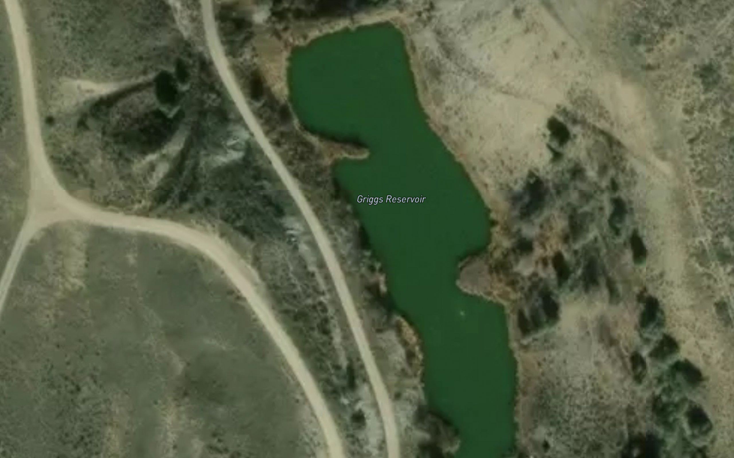 Griggs Reservoir