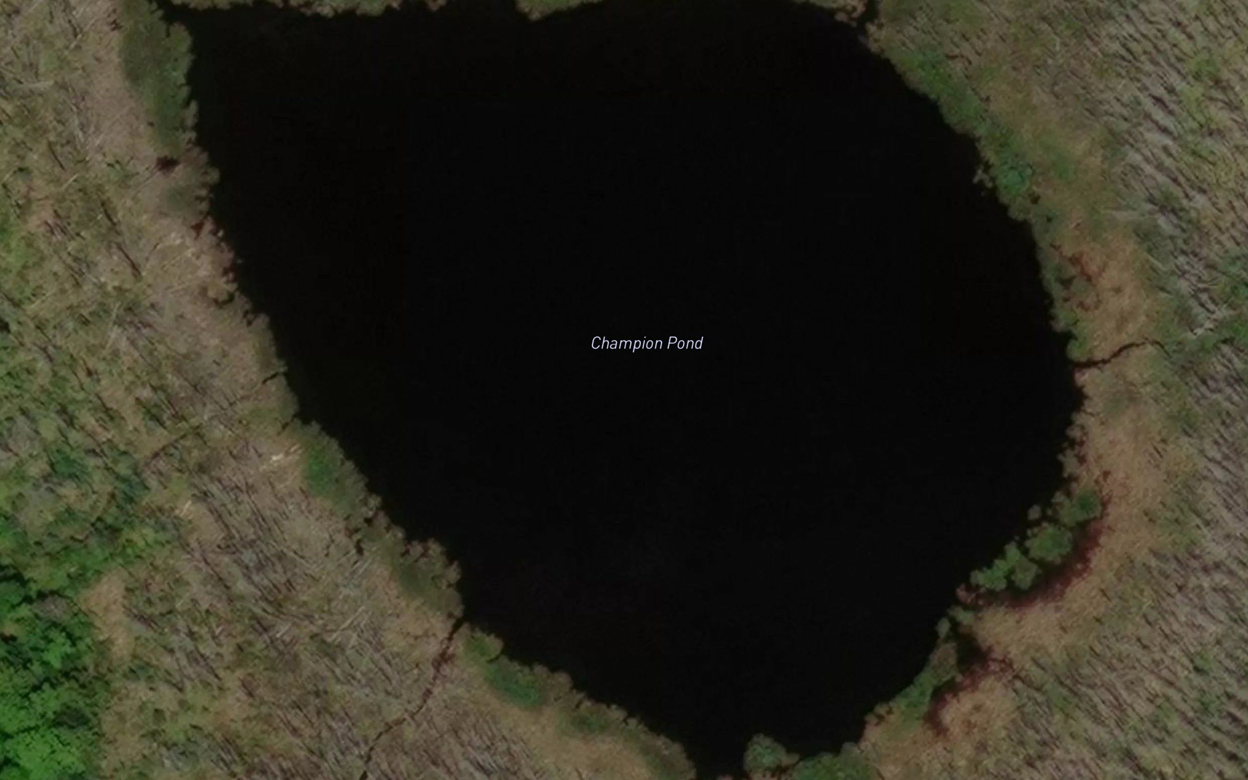 Champion Pond