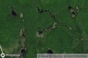 Lac Leo