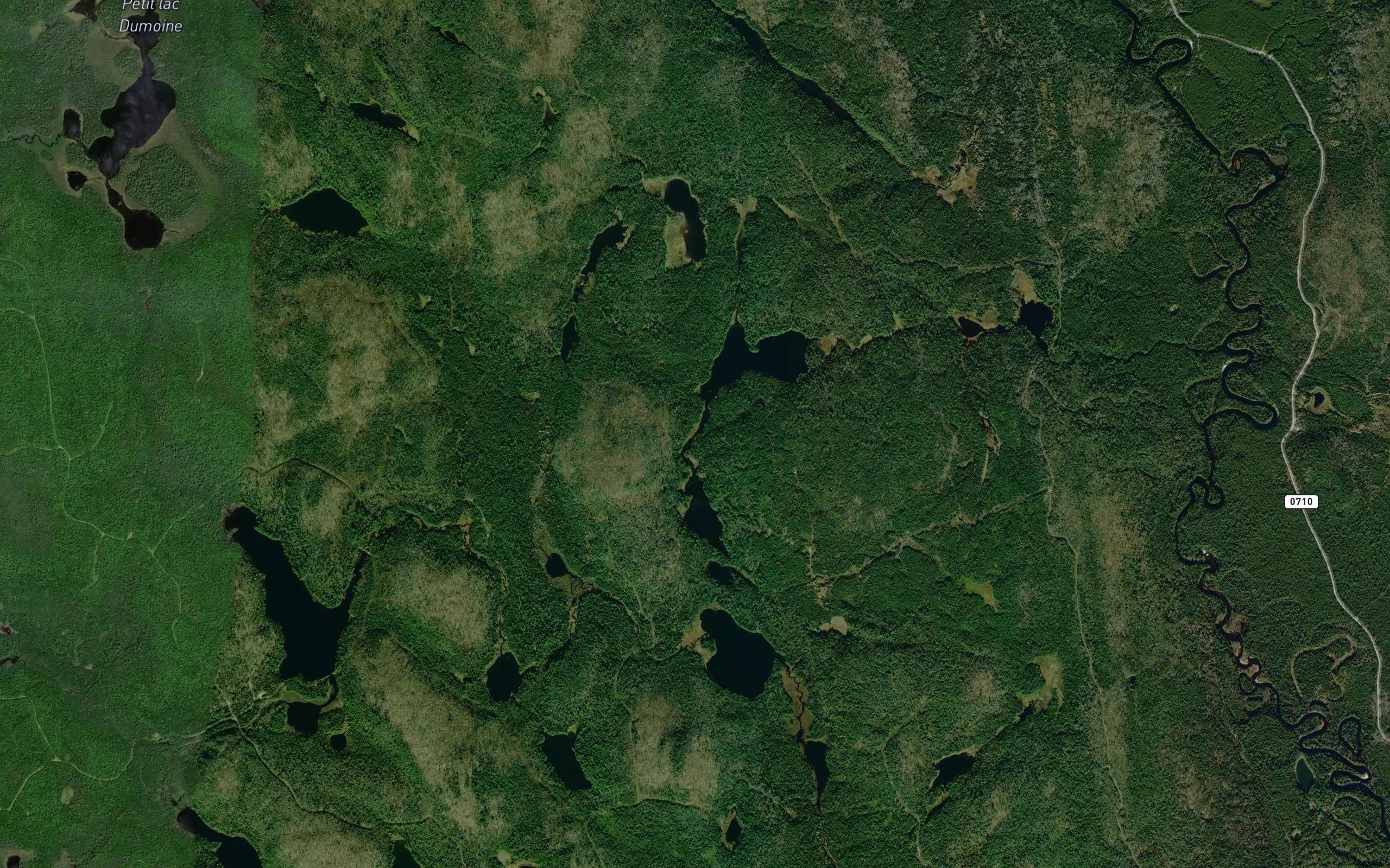 Lac Narrow