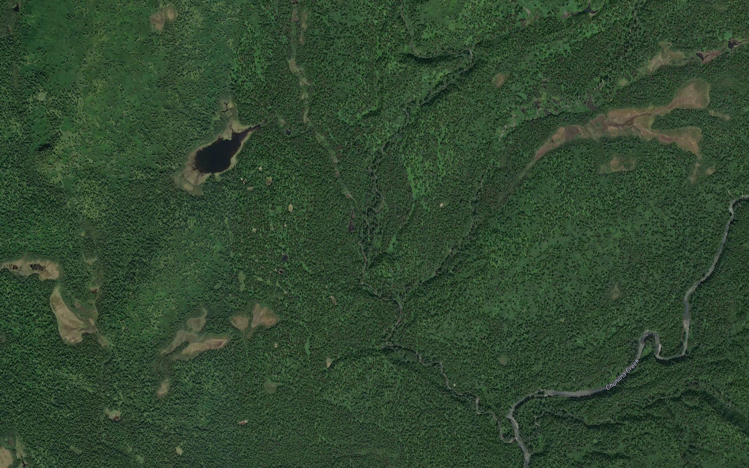 Dog Hair Creek