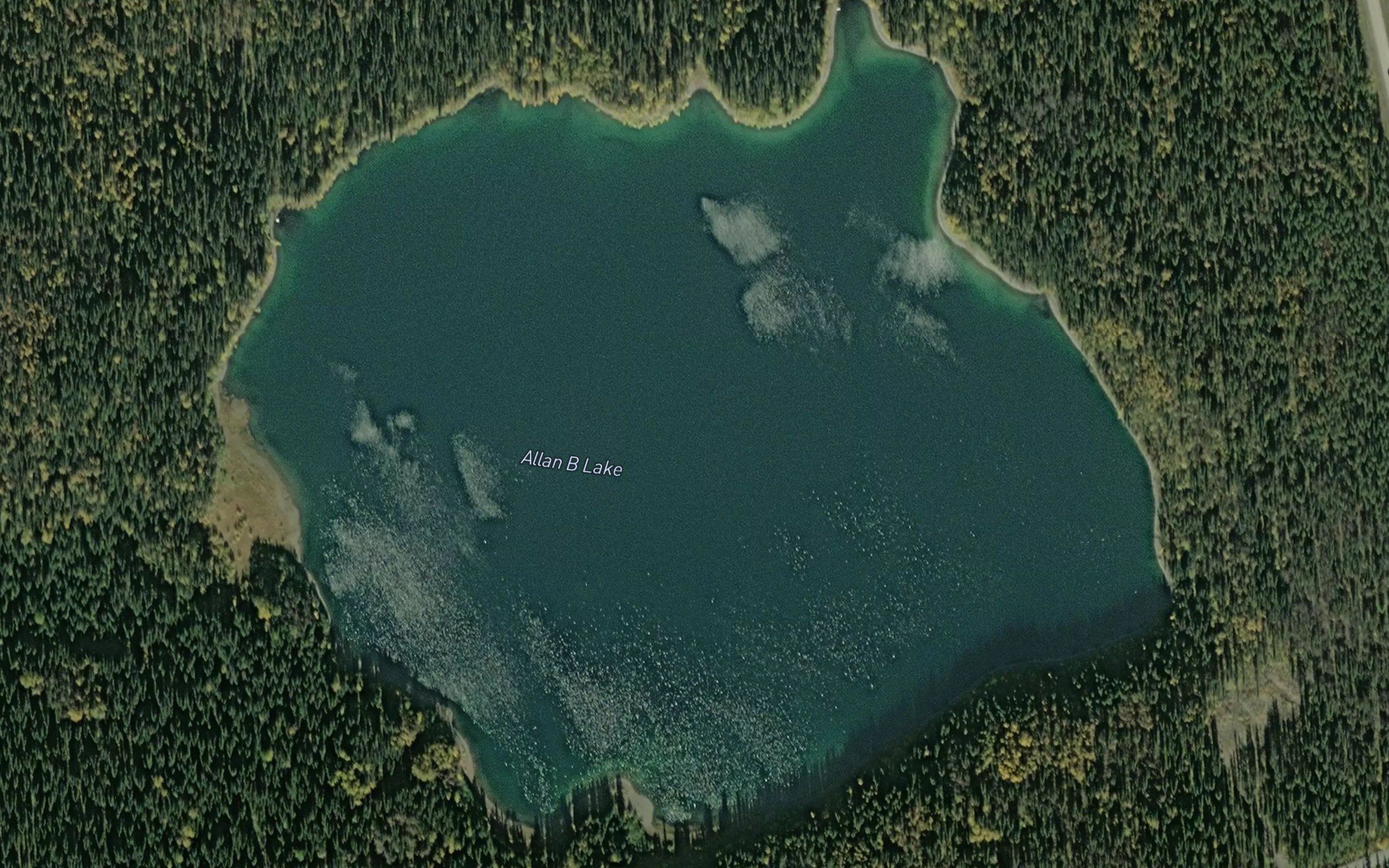 Allan B Lake