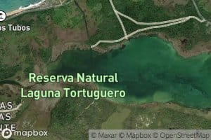 Laguna Tortuguero