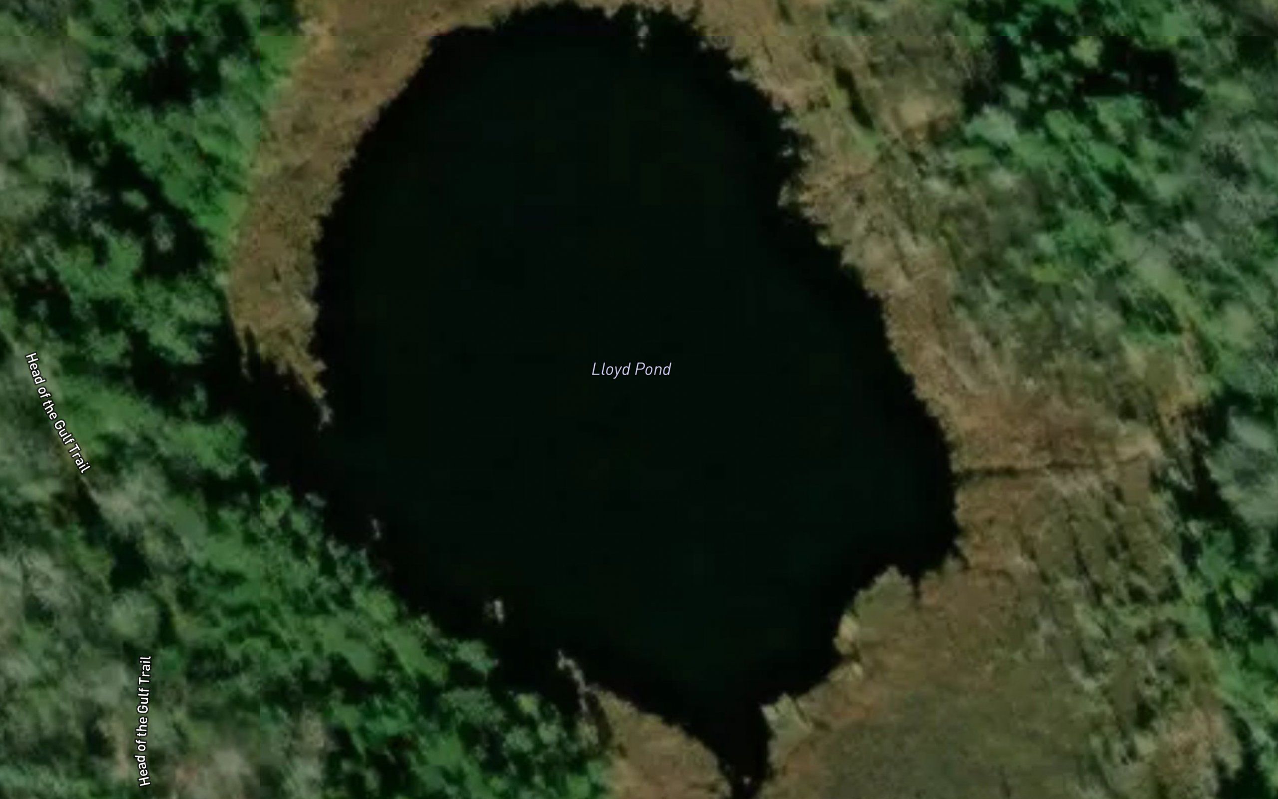 Lloyd Pond
