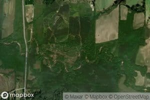 Lizard Creek