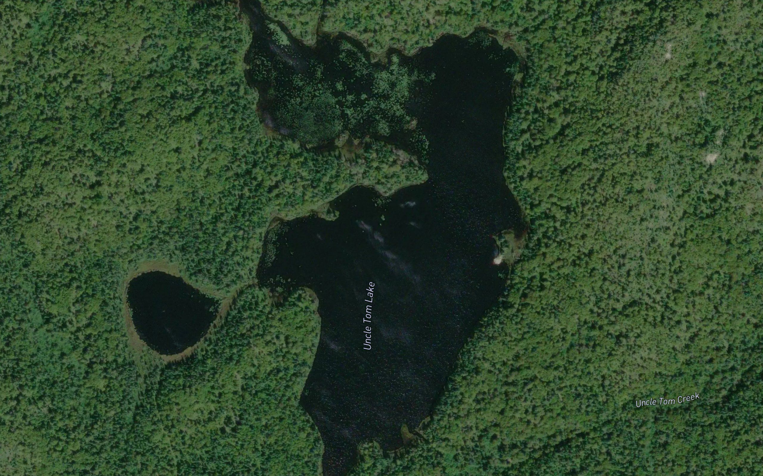 Uncle Tom Lake