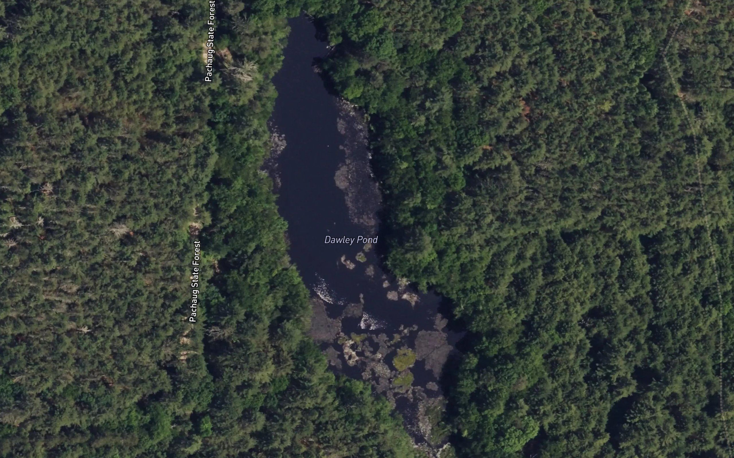 Dawley Pond
