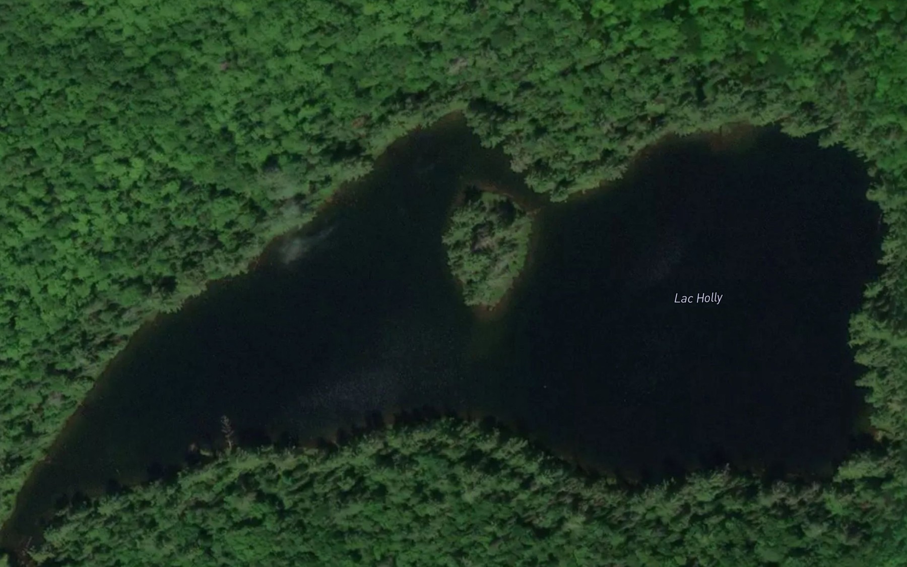Satellite map of the Lac d'Isle-de-France