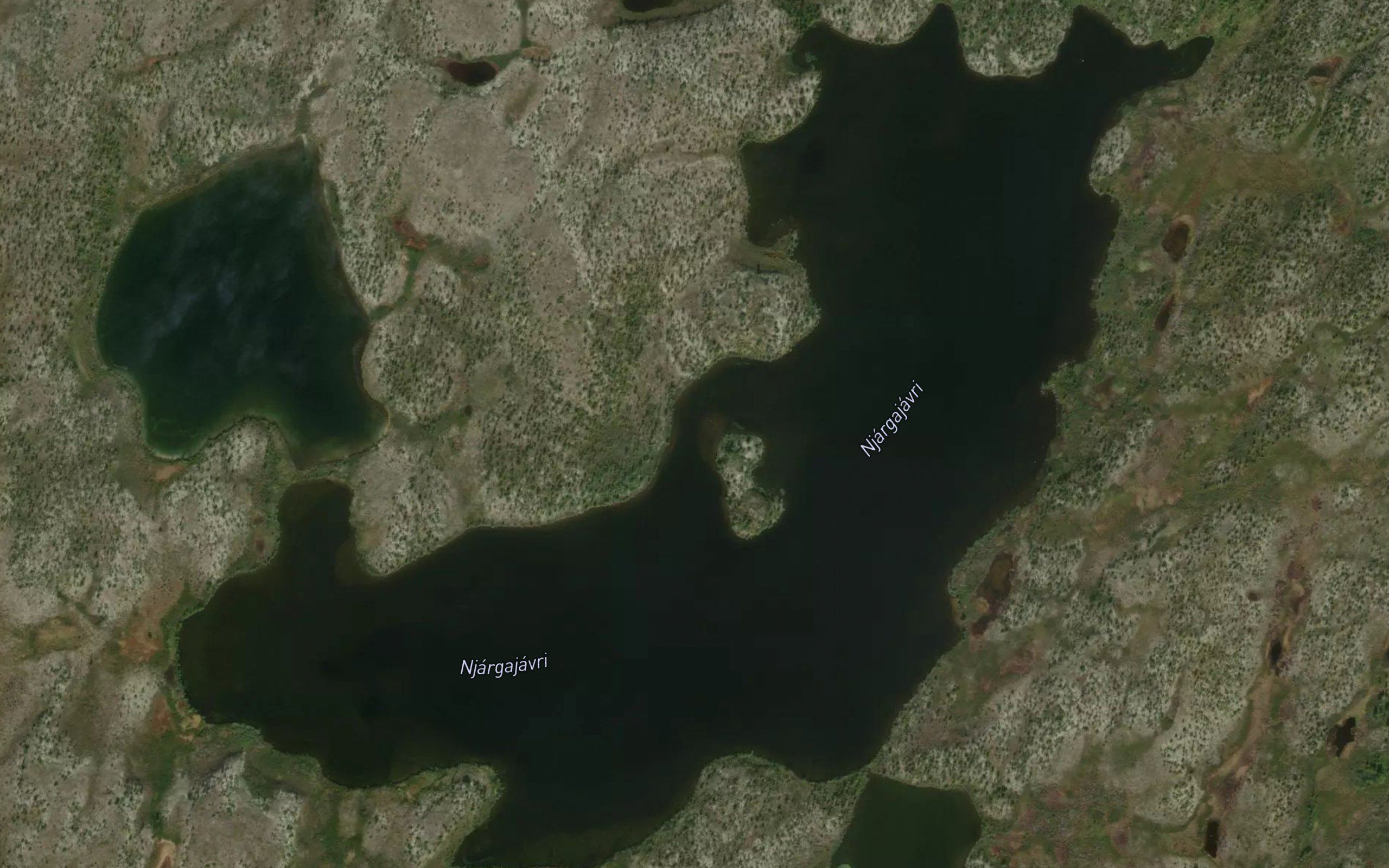 Njargajavri