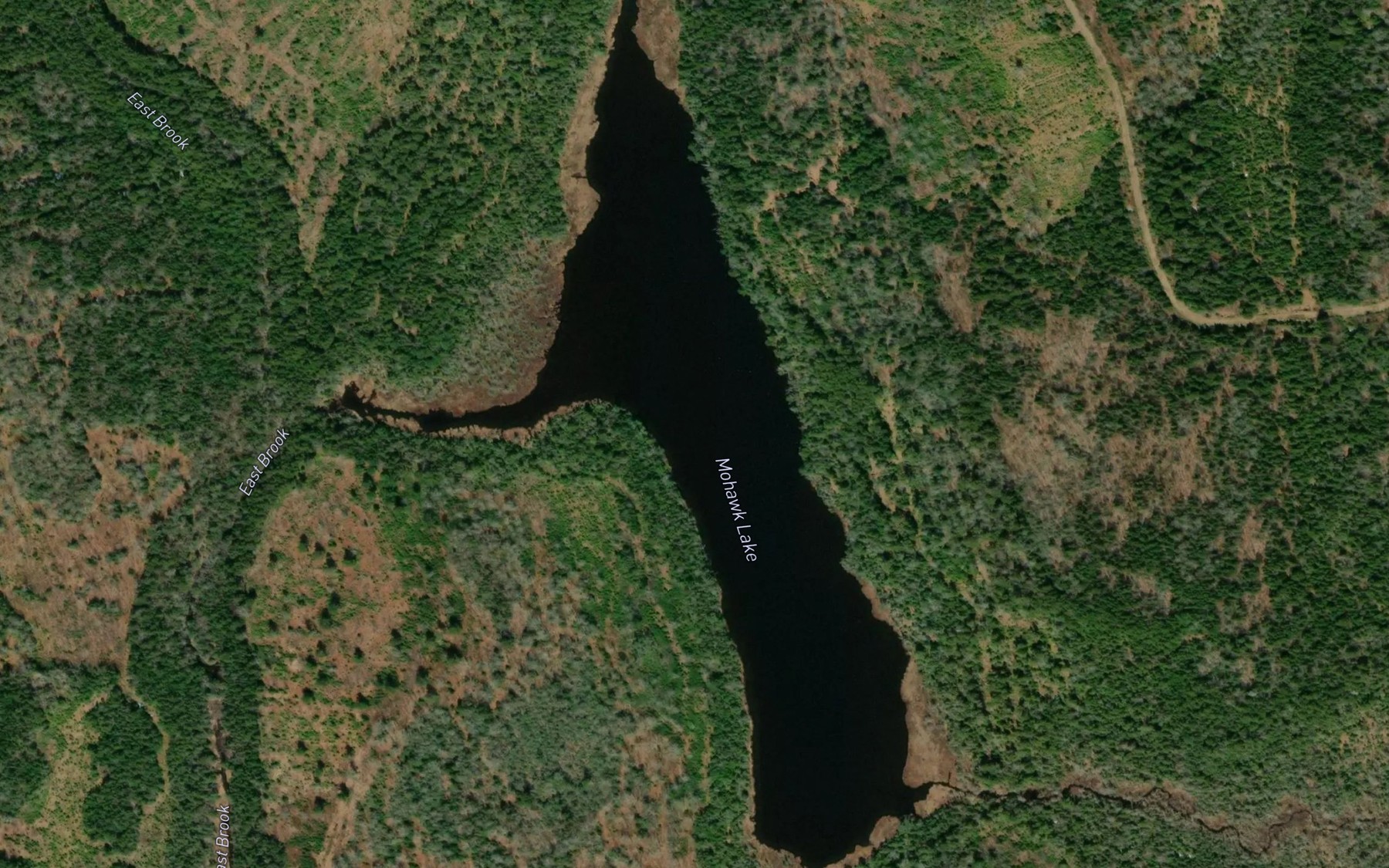 Satellite map of the Mohawk Lake