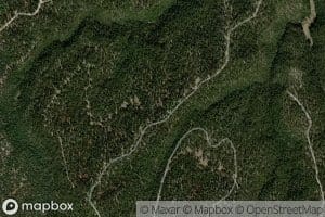 Middle Leonard Number Four Spring