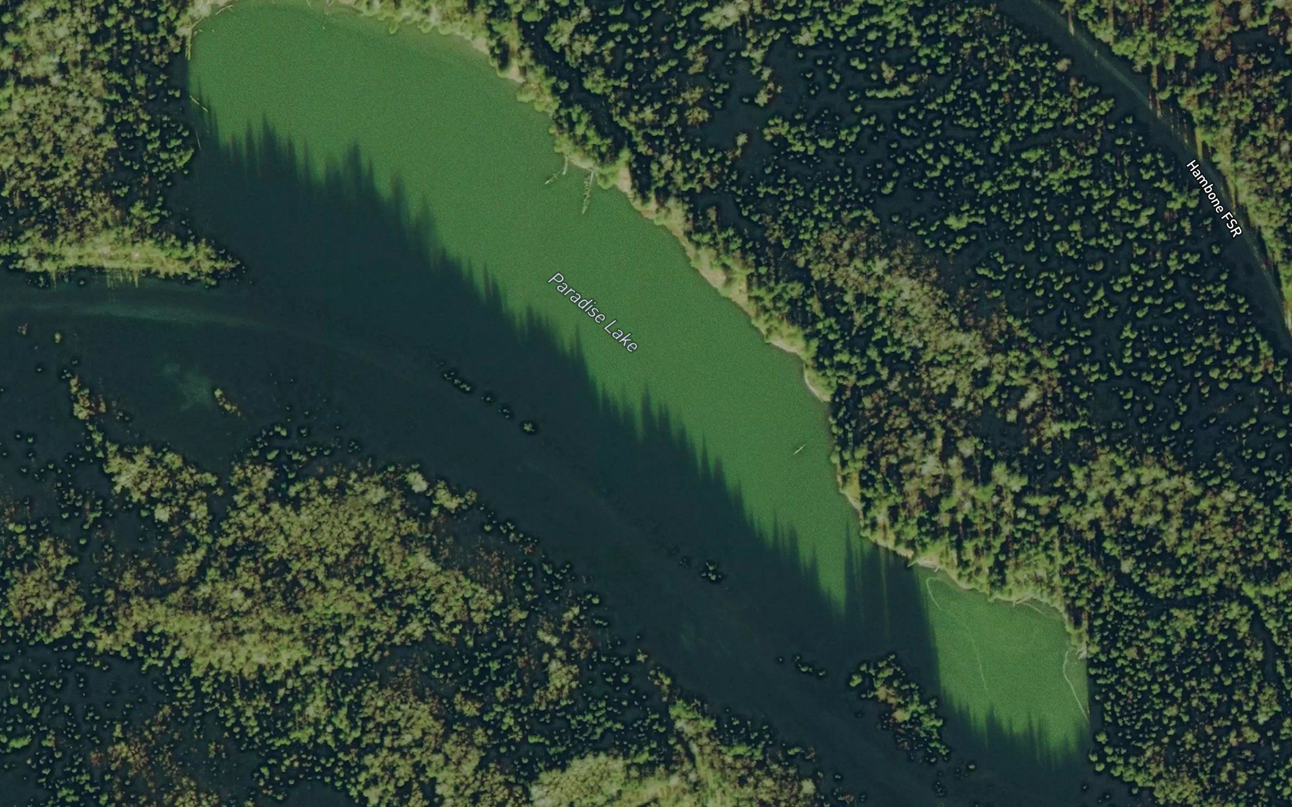 Paradise Lake