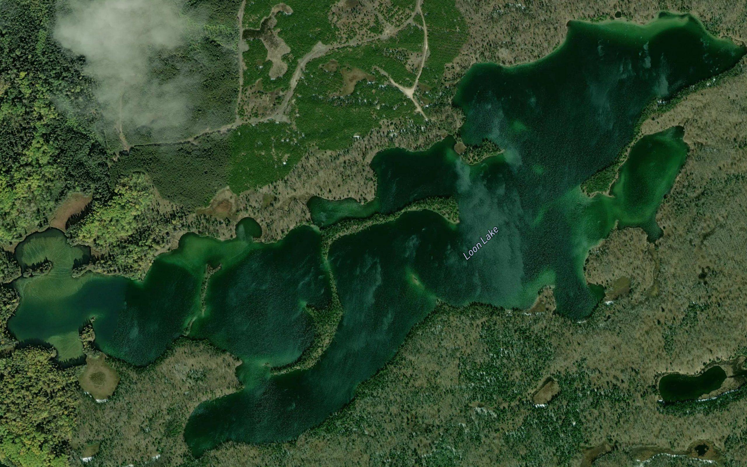 Loon Lake