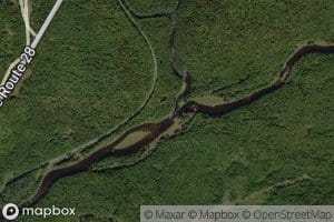 Middle Branch Moose River