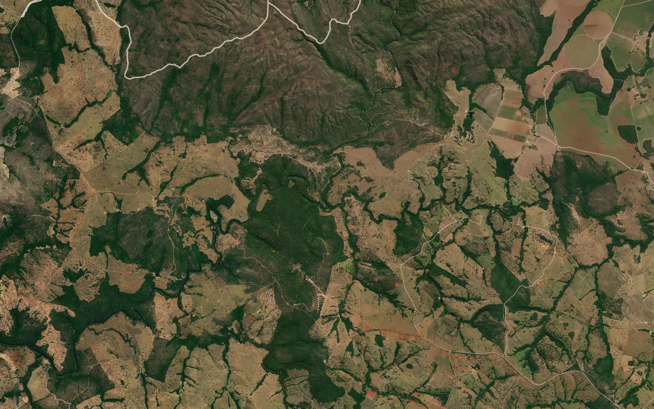 Ribeirao do Verissimo