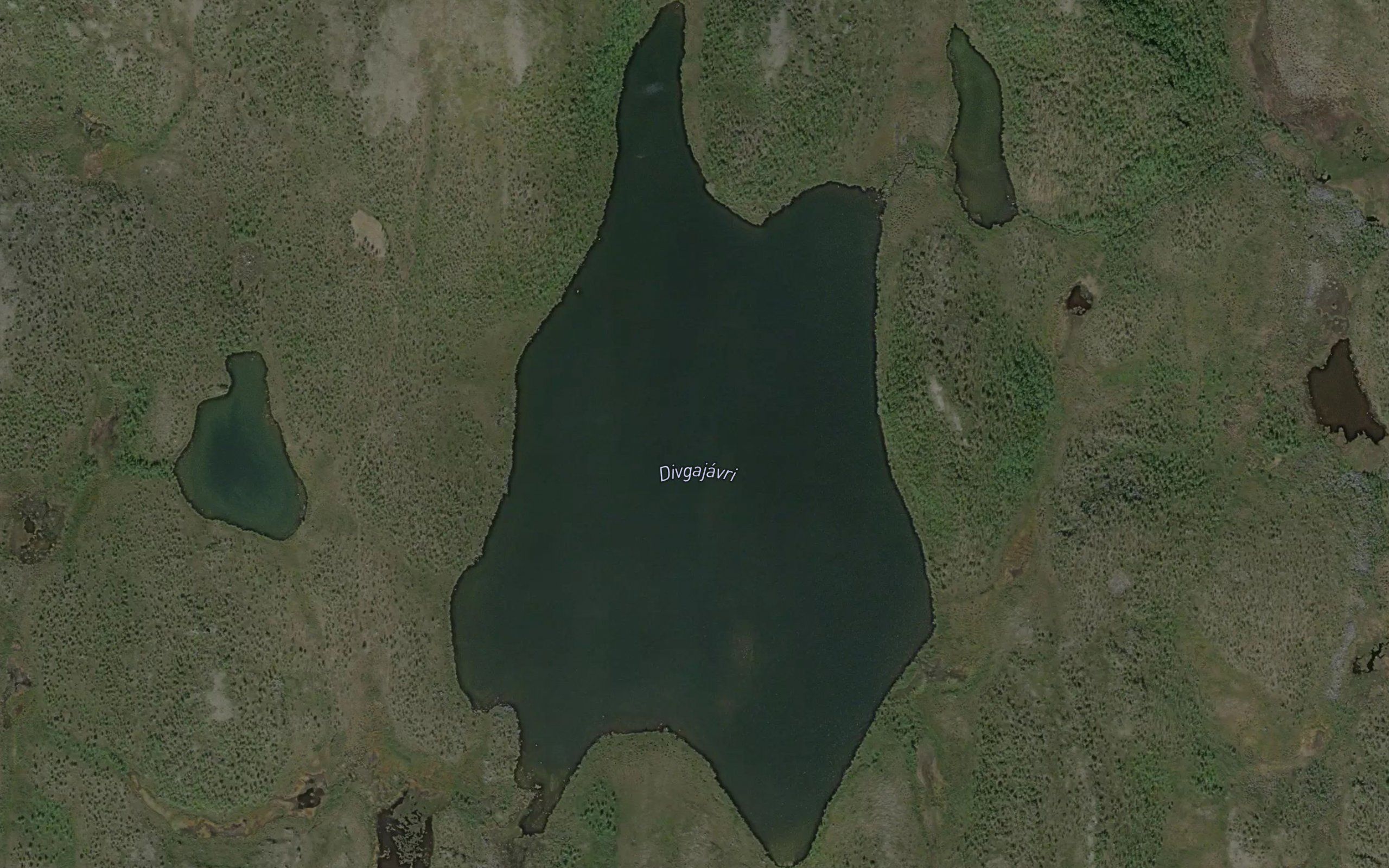 Divgajavri