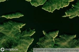 Poison Cove Branch
