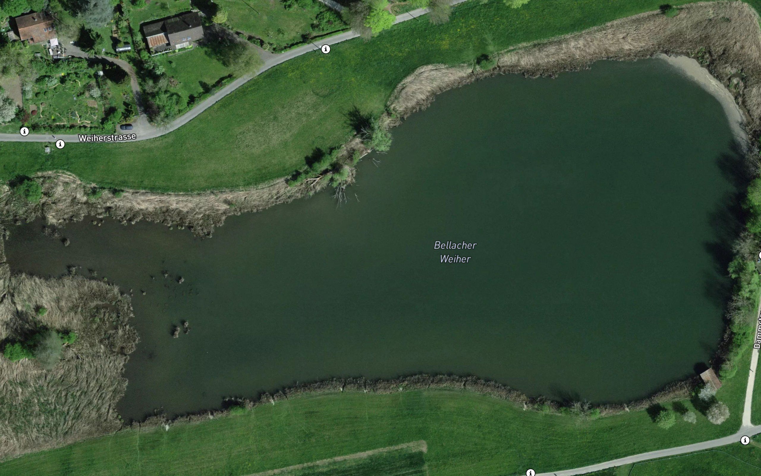 Bellacher Weiher