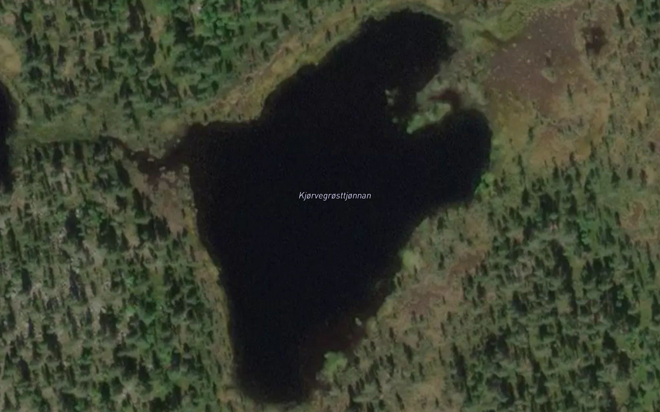Kjorvegrosttjonnan