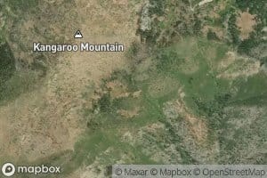 Kangaroo Spring
