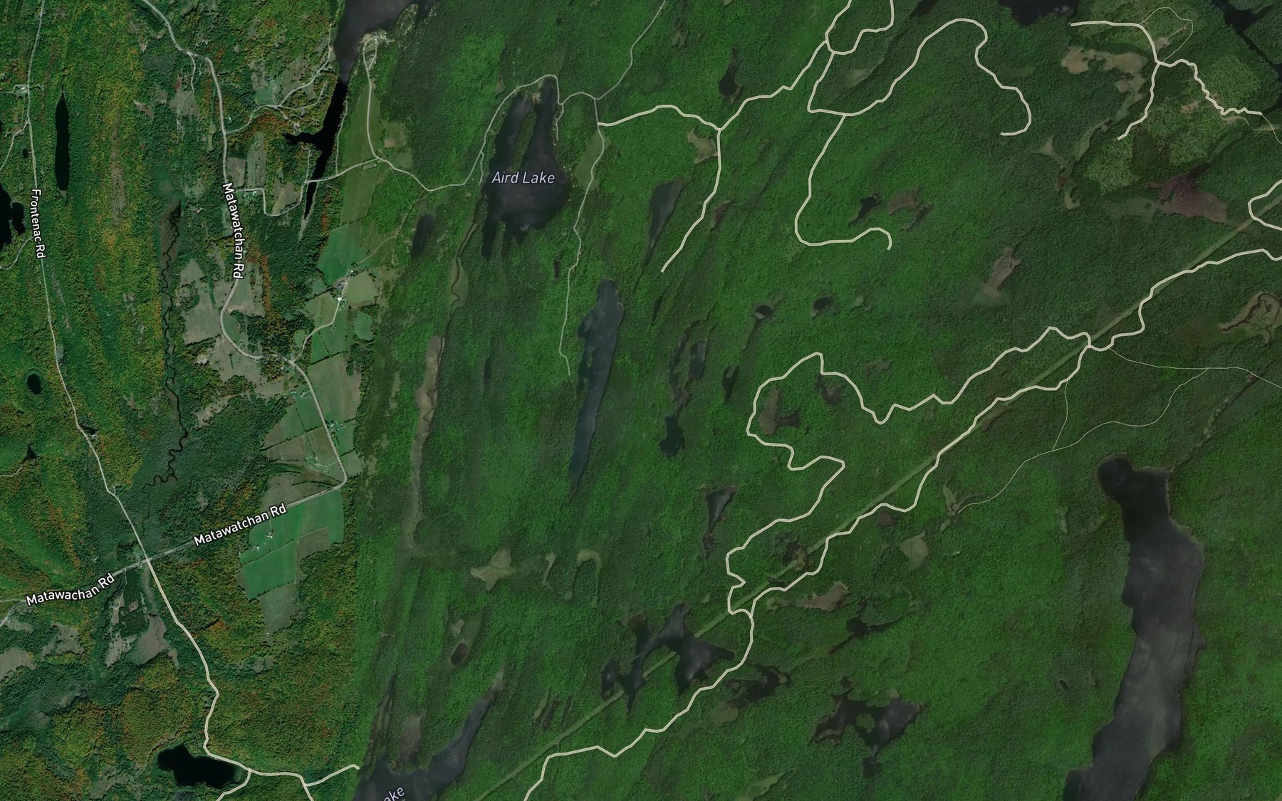 Satellite map of the Snake Lake