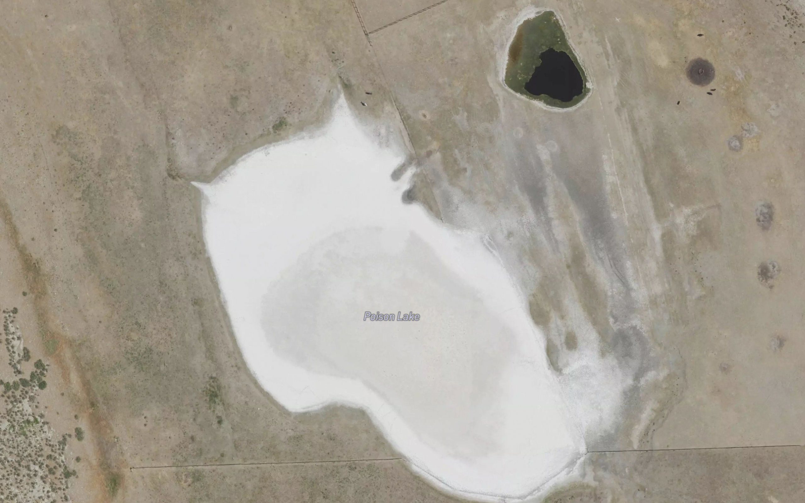 Poison Lake