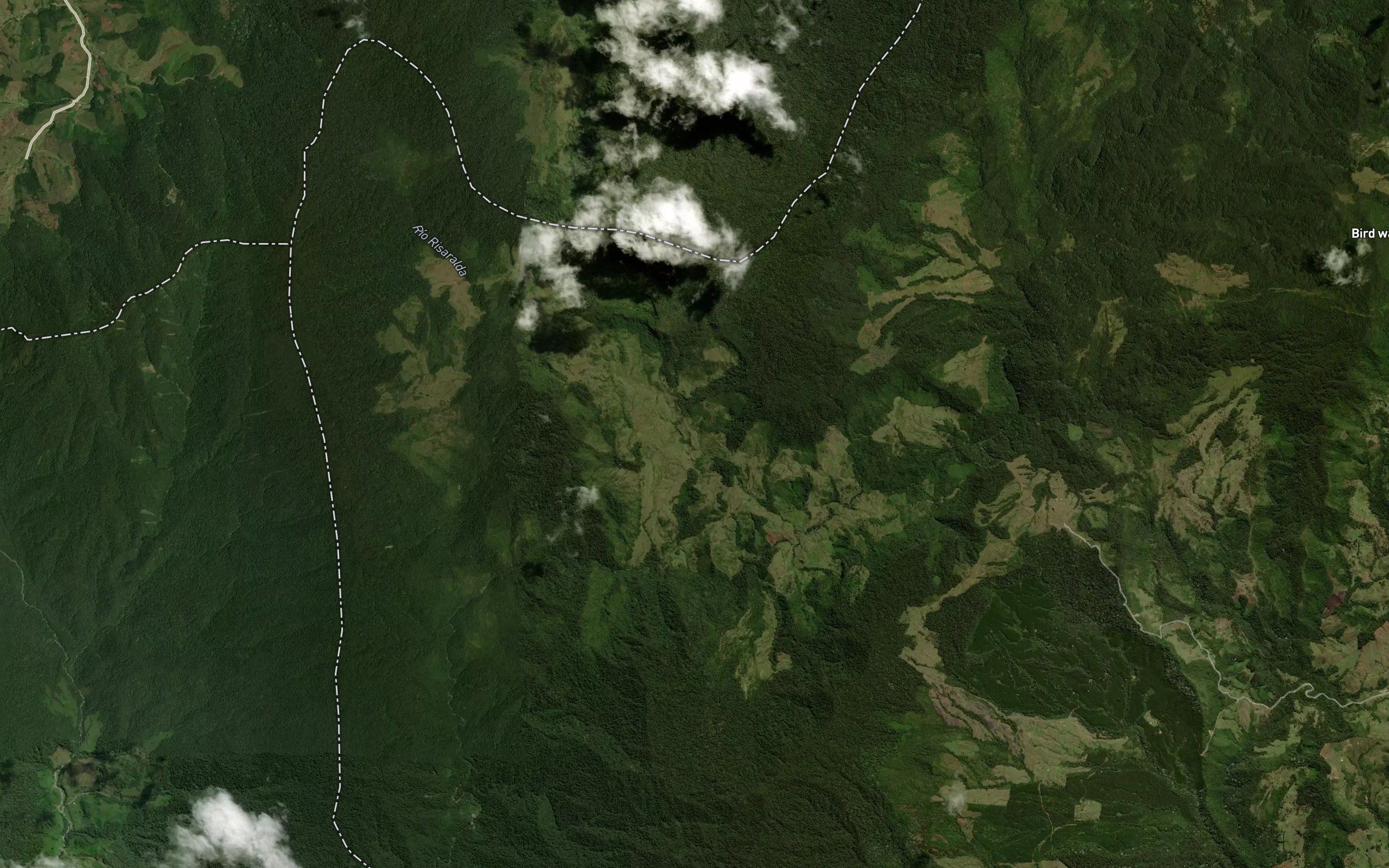 El Rosario
