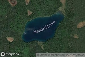 Mallard Lake