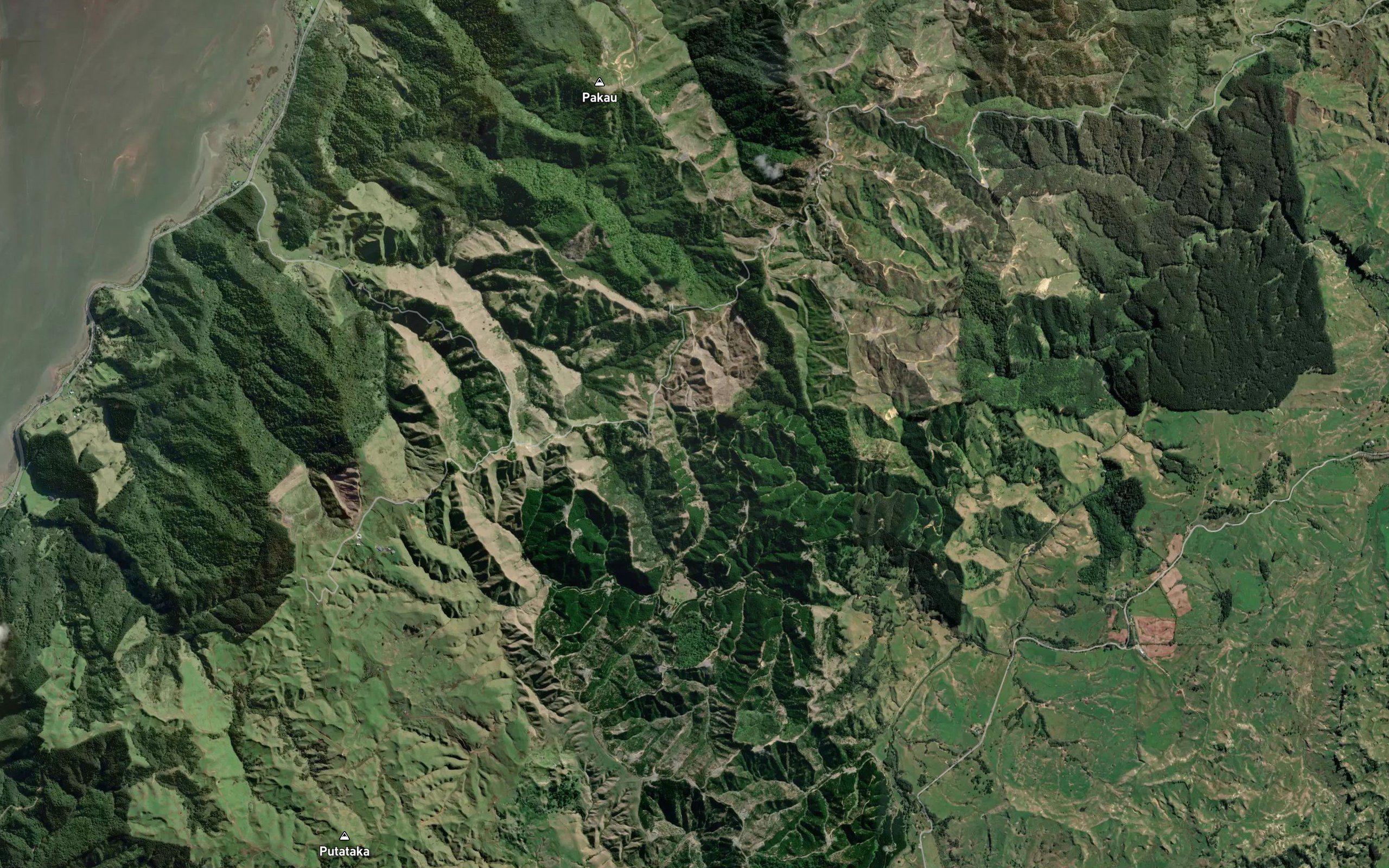 Moewaka Stream