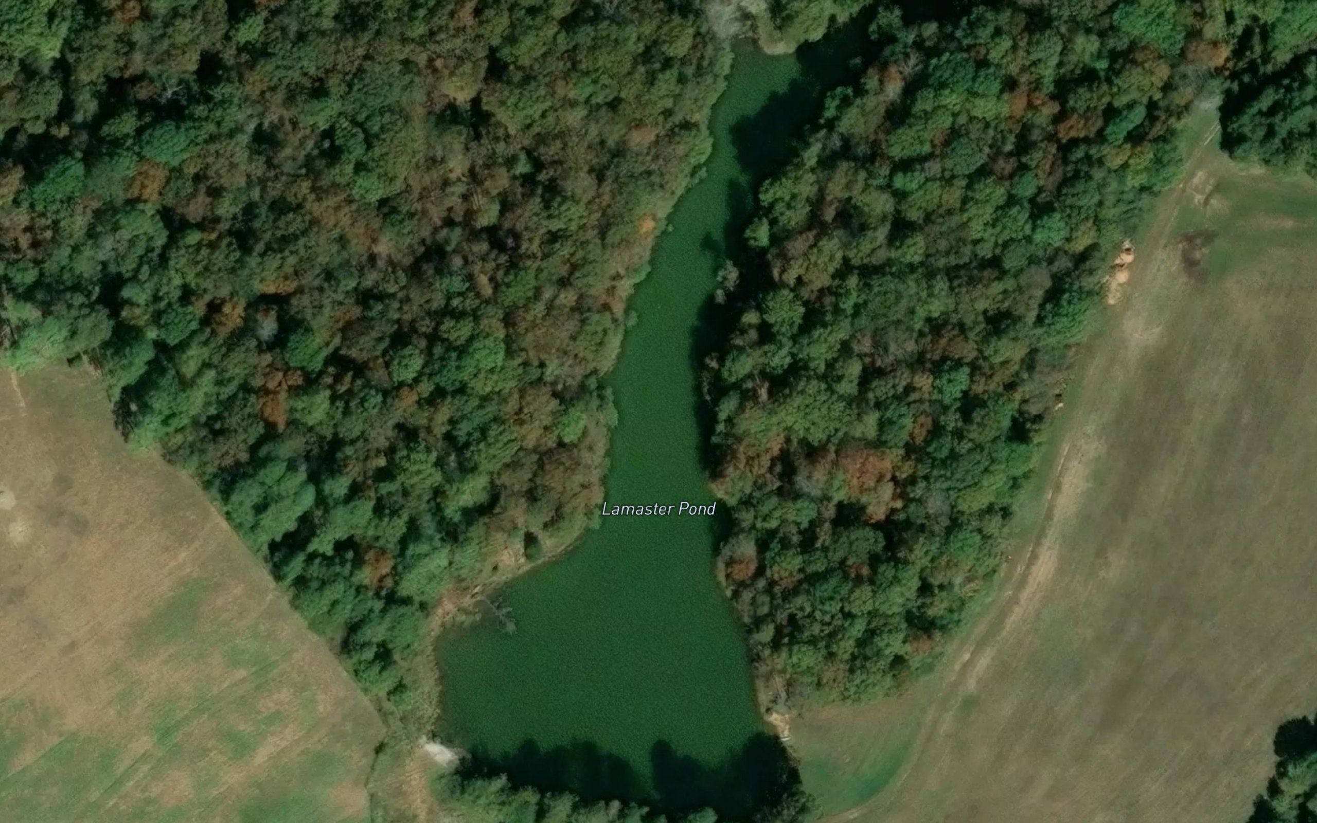Lamaster Pond