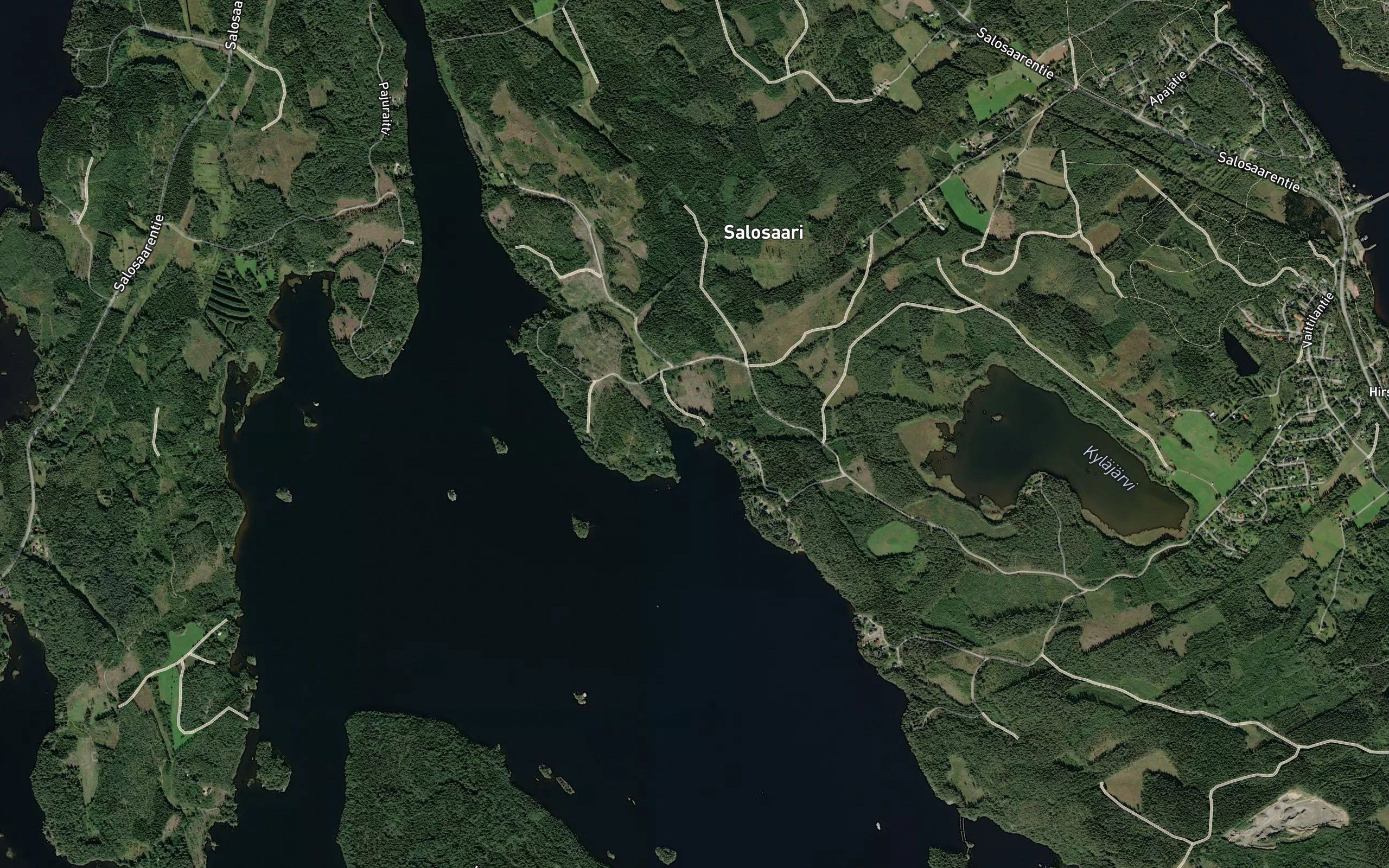 Leppoja