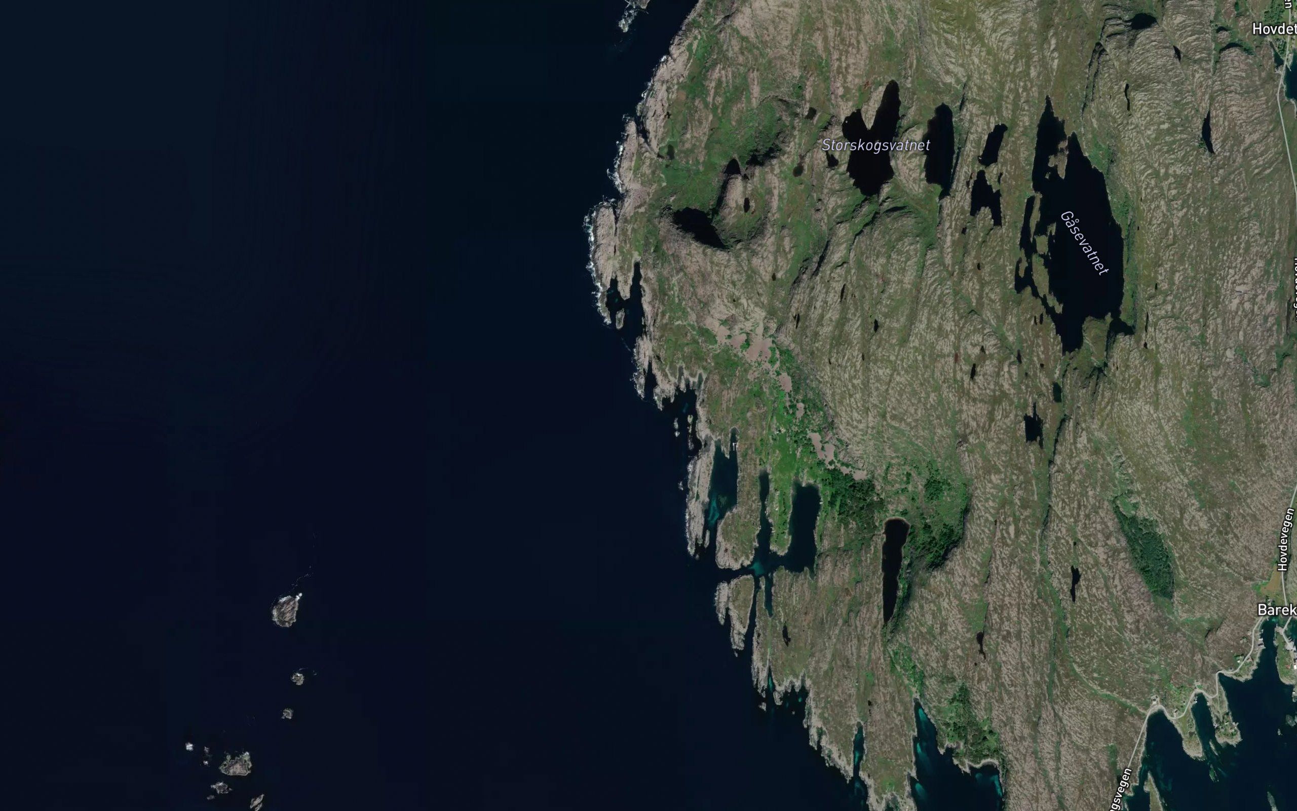 Burskjettevika
