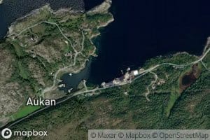 Aukbugen