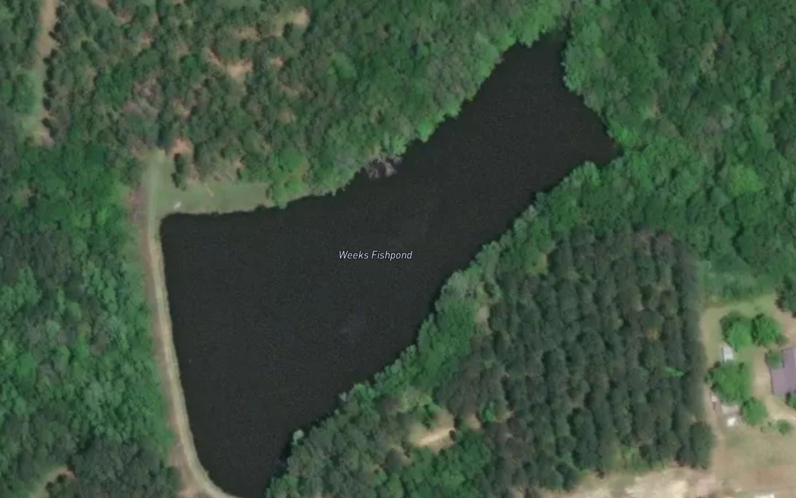 Weeks Fishpond