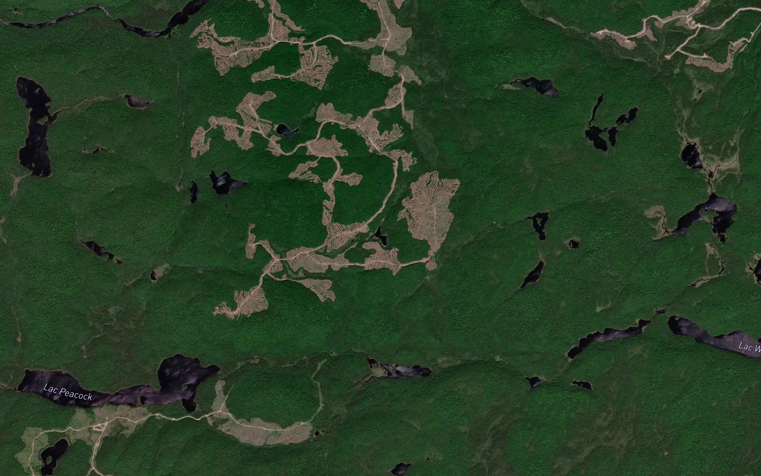Lac du Sergent