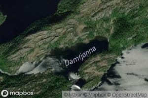 Damtjorna