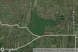 Mays Pond