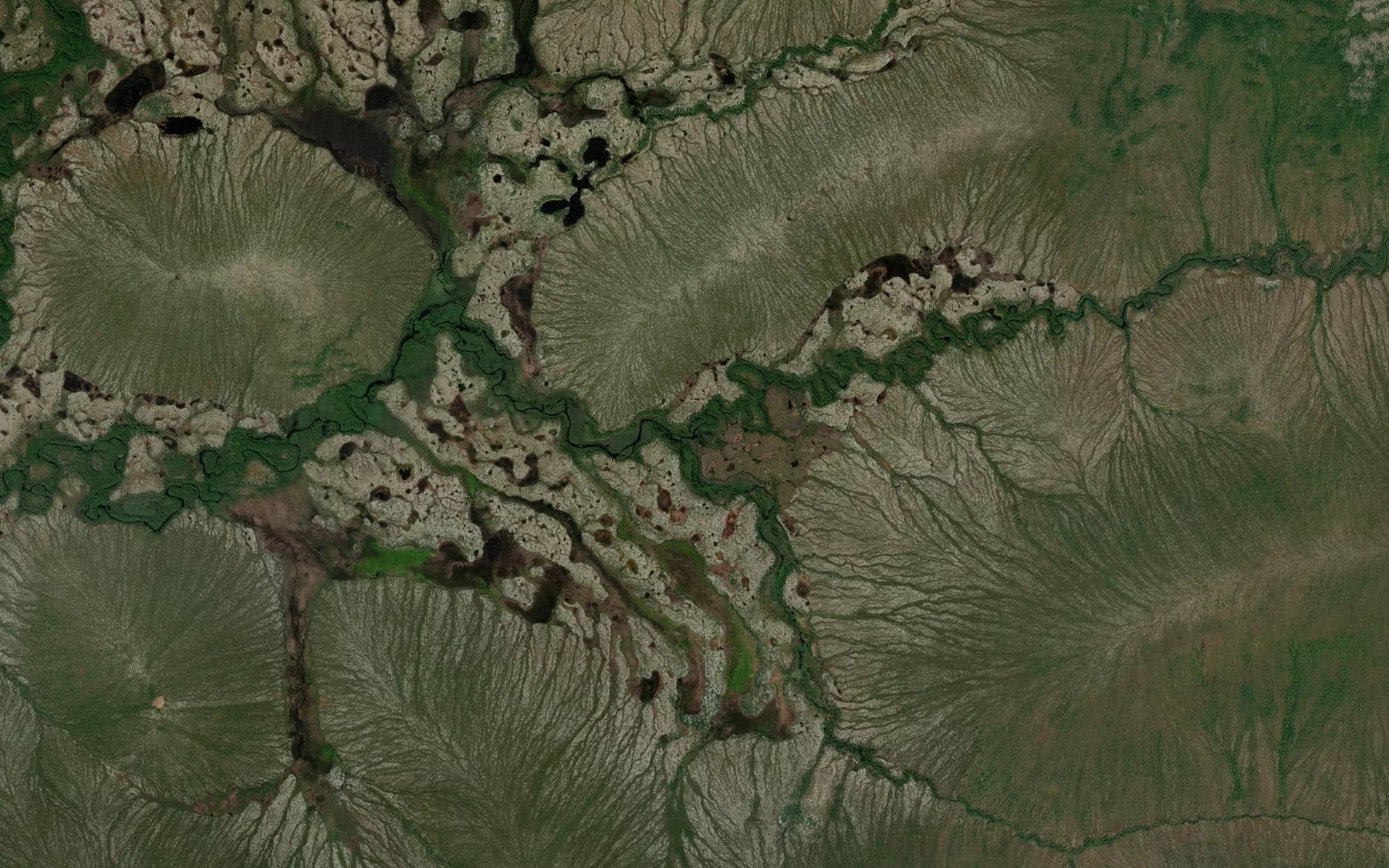 Satellite map of the Vilki