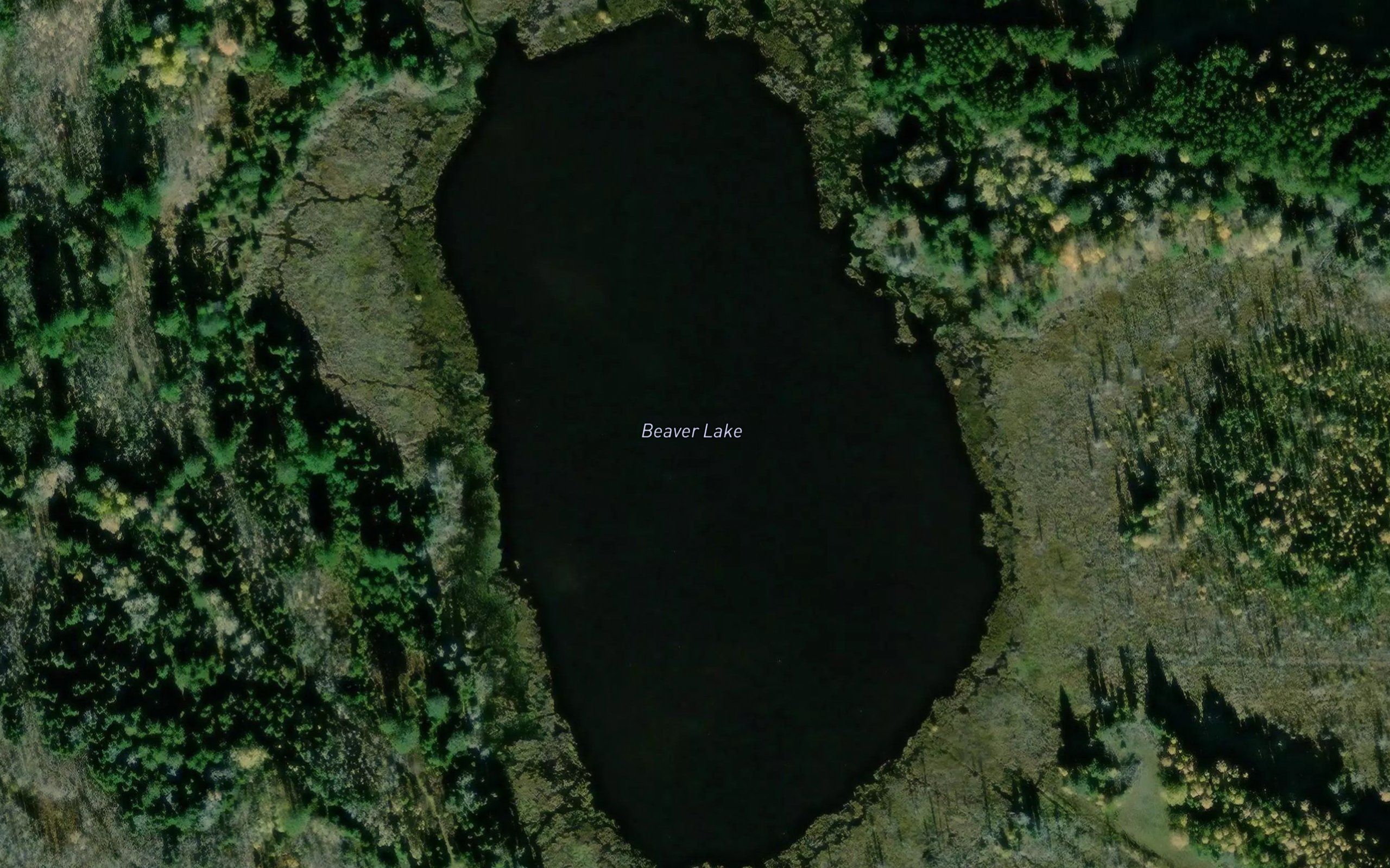 Beaver Lake