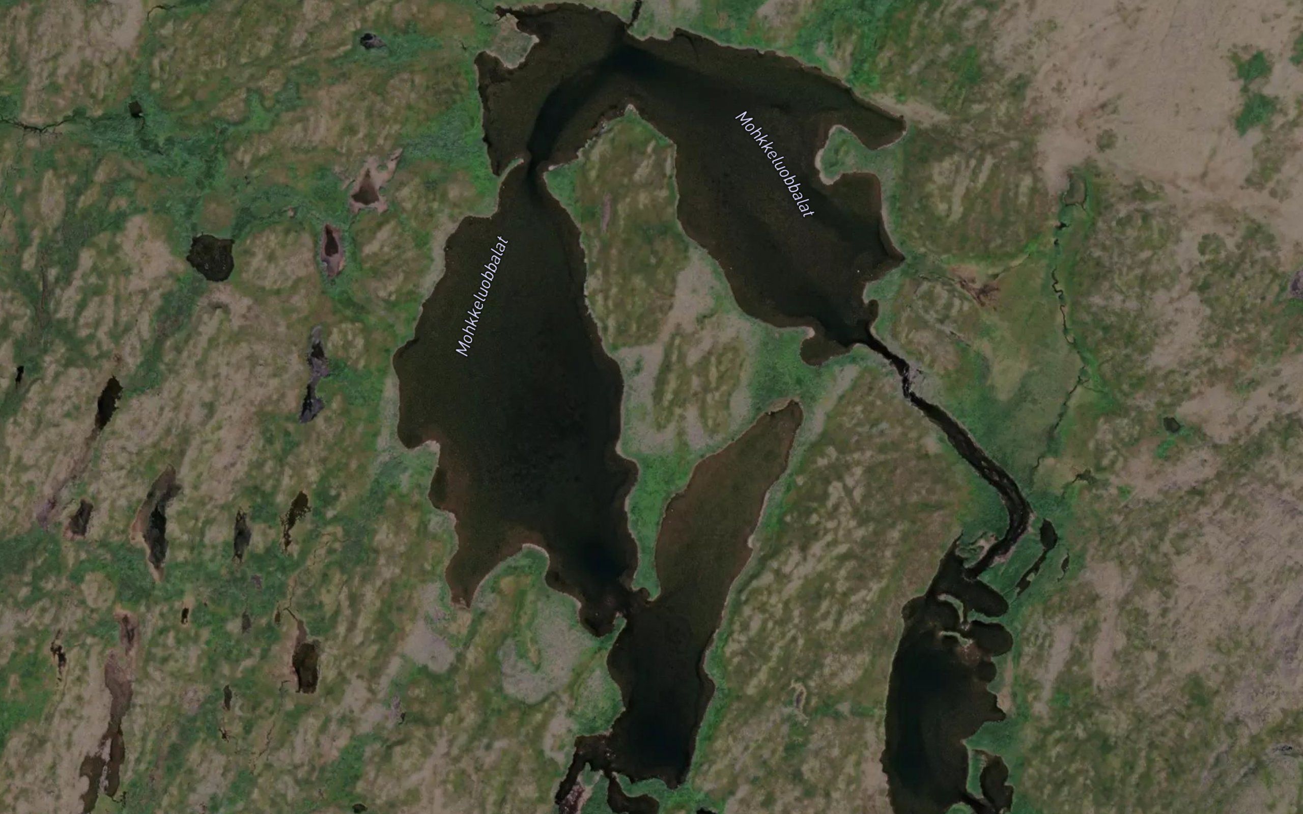 Mohkkeluobbalat